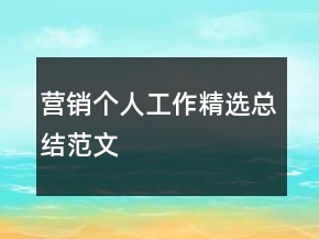 營銷個人工作精選總結(jié)范文
