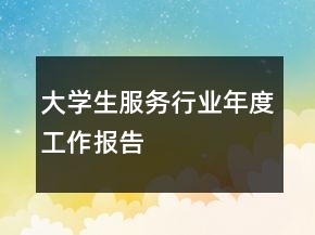 大學生服務行業(yè)年度工作報告