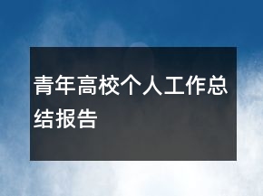 青年高校個人工作總結(jié)報告