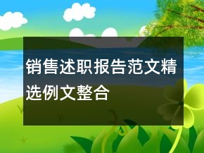 銷售述職報告范文精選例文整合