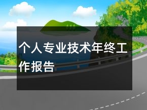 個人專業(yè)技術(shù)年終工作報(bào)告