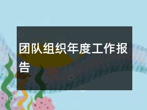 團隊組織年度工作報告