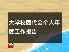 大學校團代會個人年度工作報告
