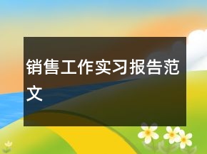 銷售工作實習(xí)報告范文