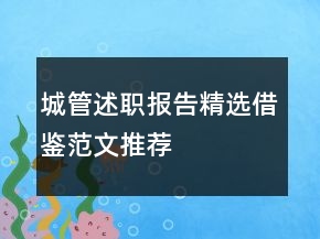 城管述職報(bào)告精選借鑒范文推薦