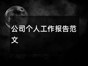 公司個人工作報告范文