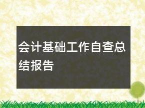 會計基礎工作自查總結(jié)報告
