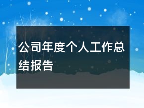 公司年度個人工作總結(jié)報(bào)告