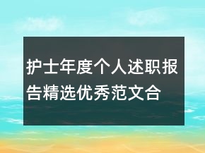 護(hù)士年度個(gè)人述職報(bào)告精選優(yōu)秀范文合集