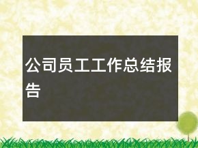 公司員工工作總結(jié)報(bào)告