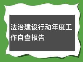 法治建設(shè)行動年度工作自查報(bào)告