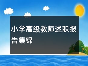 小學(xué)高級教師述職報(bào)告集錦