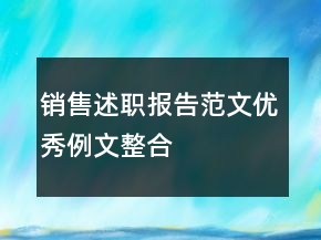 銷售述職報(bào)告范文優(yōu)秀例文整合