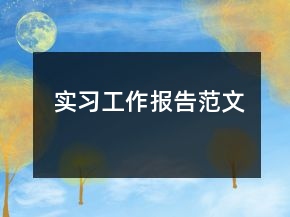 實(shí)習(xí)工作報(bào)告范文