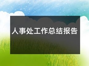 人事處工作總結(jié)報(bào)告