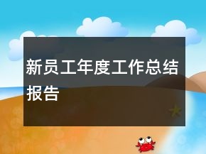新員工年度工作總結(jié)報(bào)告