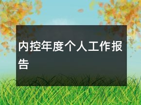 內(nèi)控年度個人工作報告