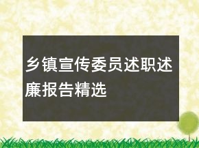 鄉(xiāng)鎮(zhèn)宣傳委員述職述廉報告精選