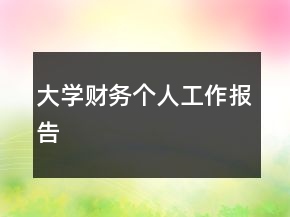 大學(xué)財(cái)務(wù)個(gè)人工作報(bào)告