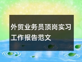 外貿(mào)業(yè)務(wù)員頂崗實(shí)習(xí)工作報(bào)告范文