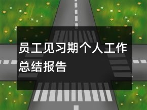 員工見(jiàn)習(xí)期個(gè)人工作總結(jié)報(bào)告
