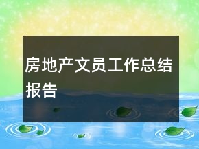 房地產(chǎn)文員工作總結(jié)報告