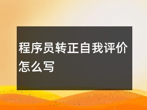 程序員轉(zhuǎn)正自我評(píng)價(jià)怎么寫