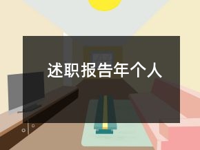 述職報告年個人