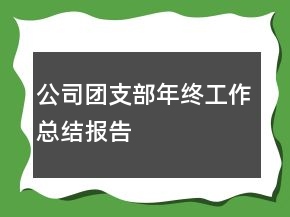 公司團(tuán)支部年終工作總結(jié)報(bào)告
