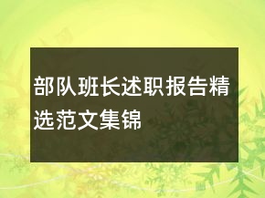 部隊(duì)班長述職報(bào)告精選范文集錦