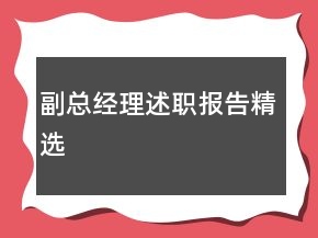 副總經(jīng)理述職報告精選