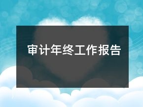 審計年終工作報告