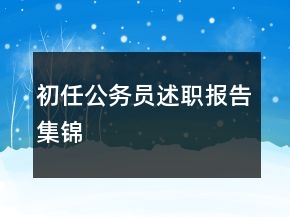 初任公務(wù)員述職報告集錦