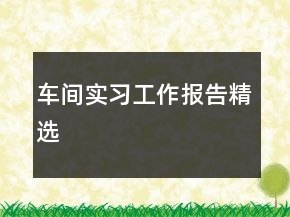 車(chē)間實(shí)習(xí)工作報(bào)告精選