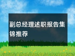 副總經理述職報告集錦推薦