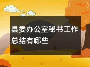 縣委辦公室秘書工作總結(jié)有哪些