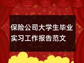 保險公司大學(xué)生畢業(yè)實習(xí)工作報告范文