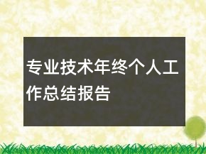 專業(yè)技術(shù)年終個(gè)人工作總結(jié)報(bào)告