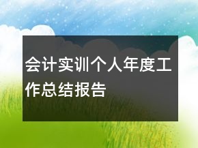 會計實(shí)訓(xùn)個人年度工作總結(jié)報告