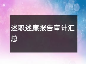 述職述廉報(bào)告審計(jì)匯總