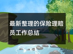 最新整理的保險(xiǎn)理賠員工作總結(jié)