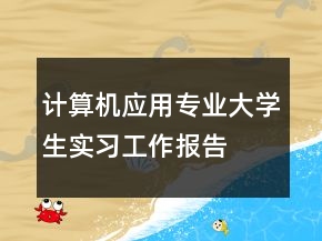 計算機應用專業(yè)大學生實習工作報告
