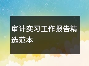 審計(jì)實(shí)習(xí)工作報(bào)告精選范本