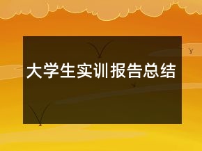大學生實訓報告總結