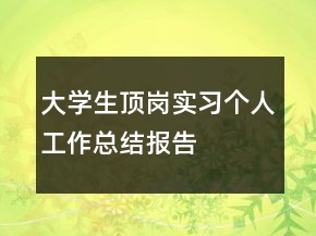 大學生頂崗實習個人工作總結報告