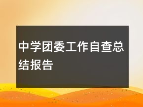 中學團委工作自查總結(jié)報告