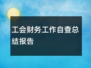 工會財務(wù)工作自查總結(jié)報告