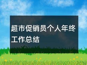 超市促銷員個(gè)人年終工作總結(jié)