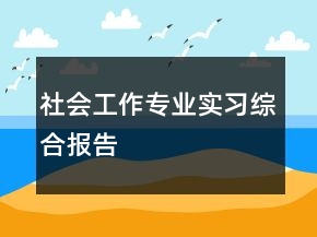 社會工作專業(yè)實(shí)習(xí)綜合報(bào)告