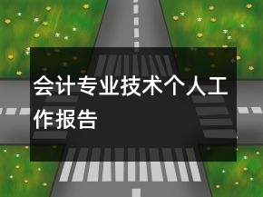 會計(jì)專業(yè)技術(shù)個人工作報告
